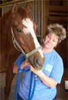 Horse and Owner