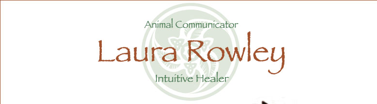 Laura Rowley - Intuitive Healer