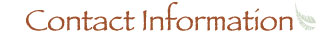 Contact Information