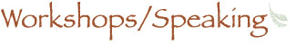 Workshops / Speaking