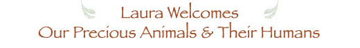 Laura Welcomes Our Precious Animals and Their Humans